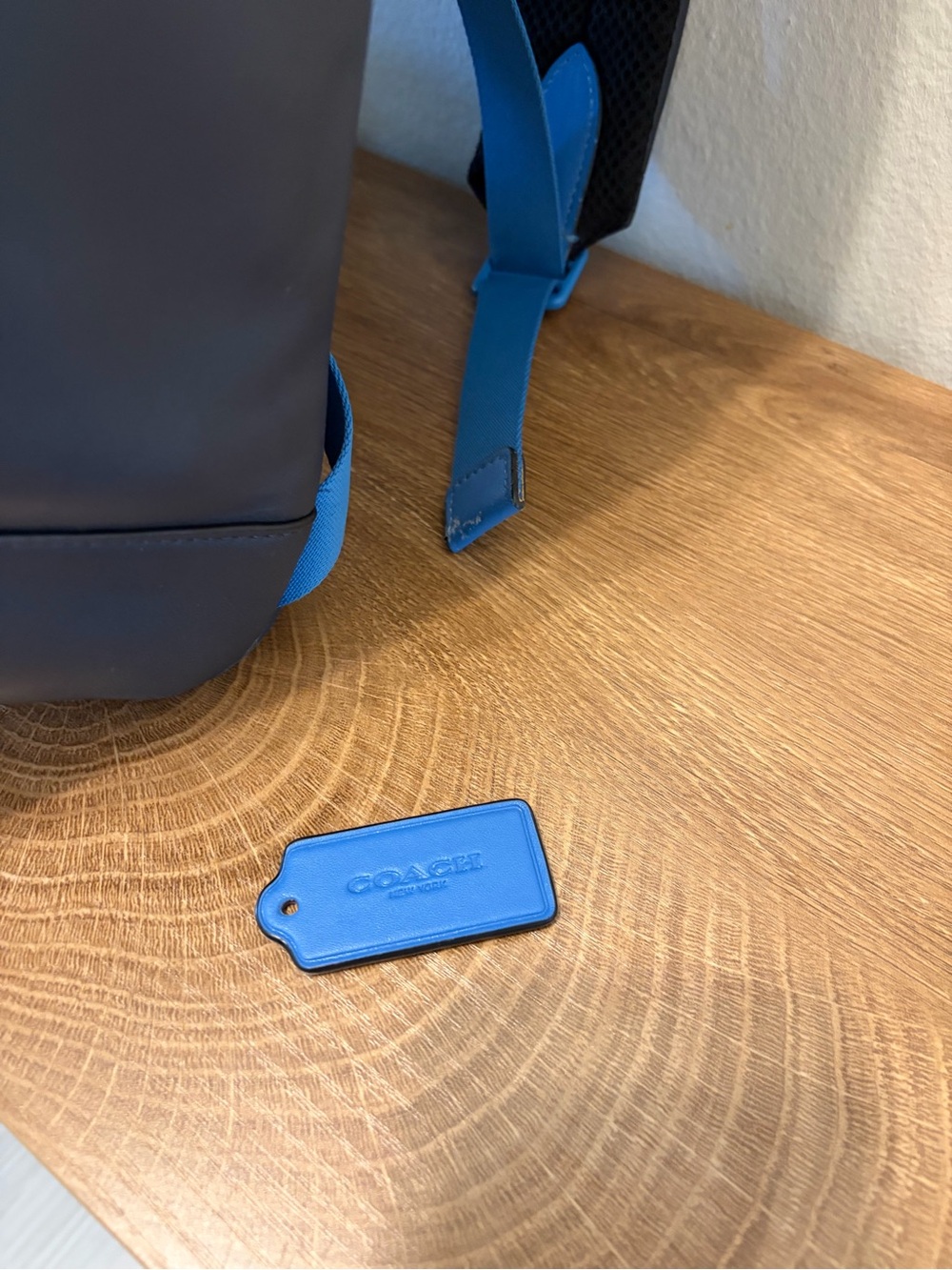 Coach Track Backpack (B6) - Picture 7 of 7